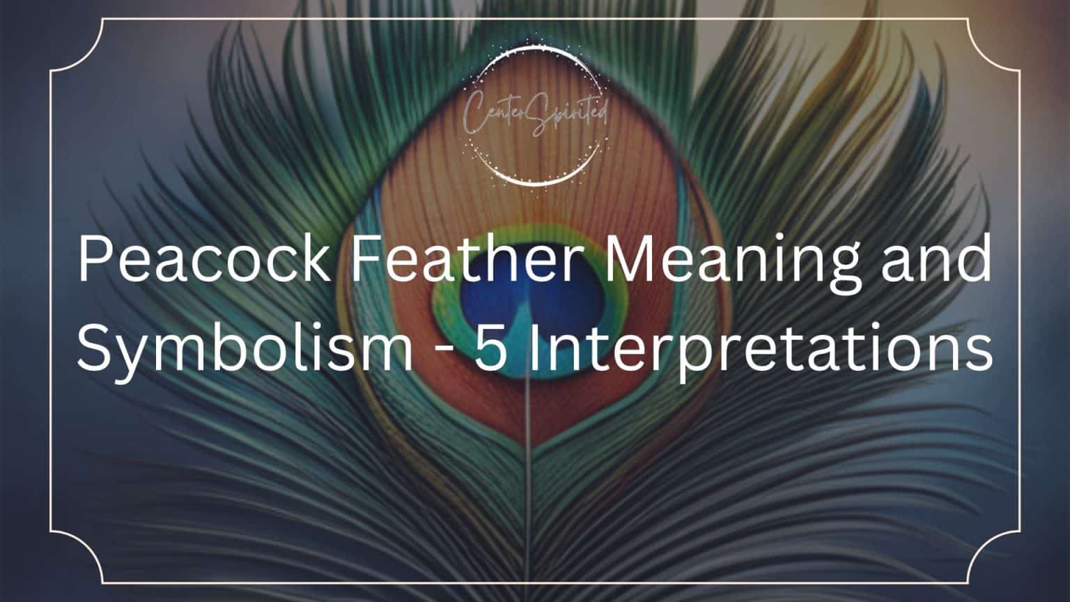 Peacock Feather Meaning and Symbolism - 5 Interpretations