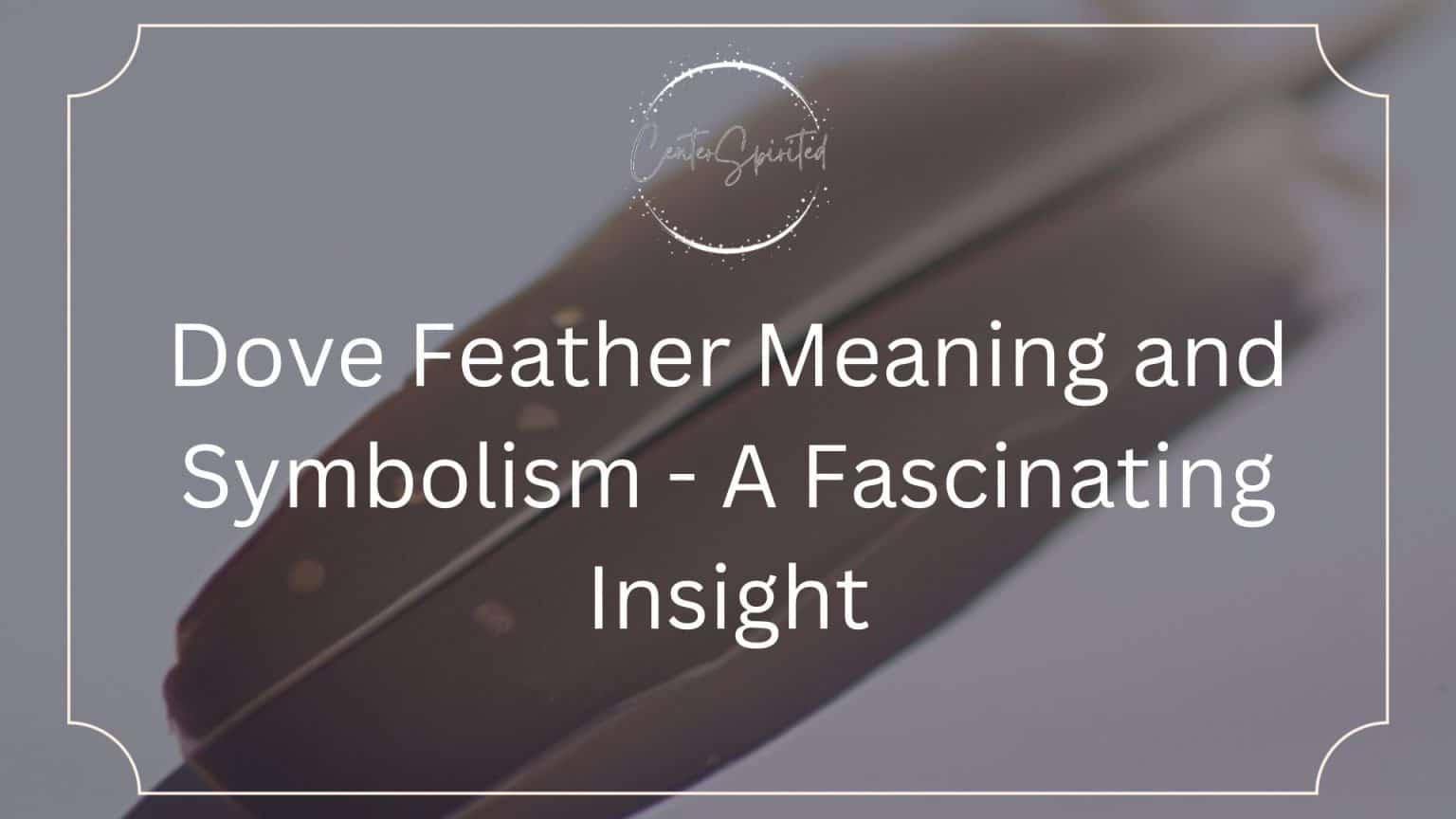 White Feather Meaning and Symbolism