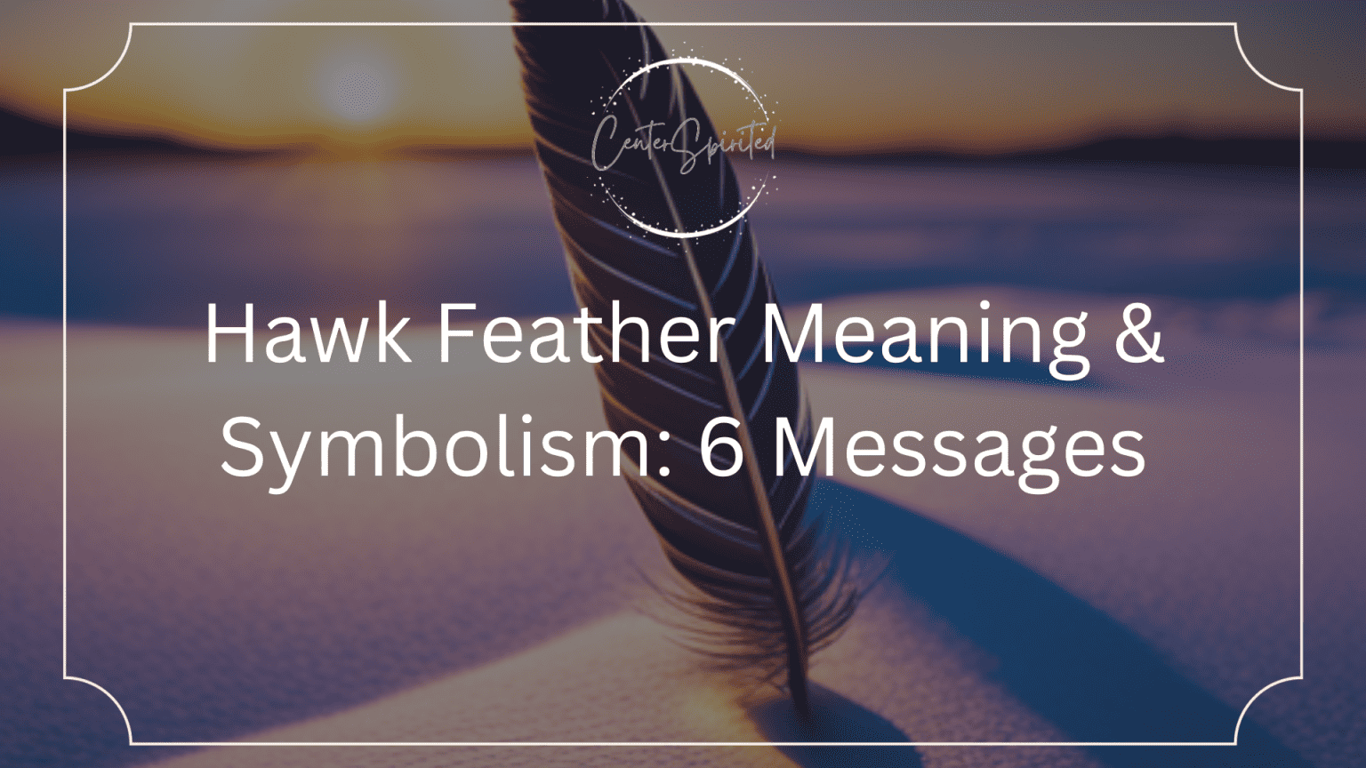 Hawk Feather Meaning & Symbolism: 6 Messages