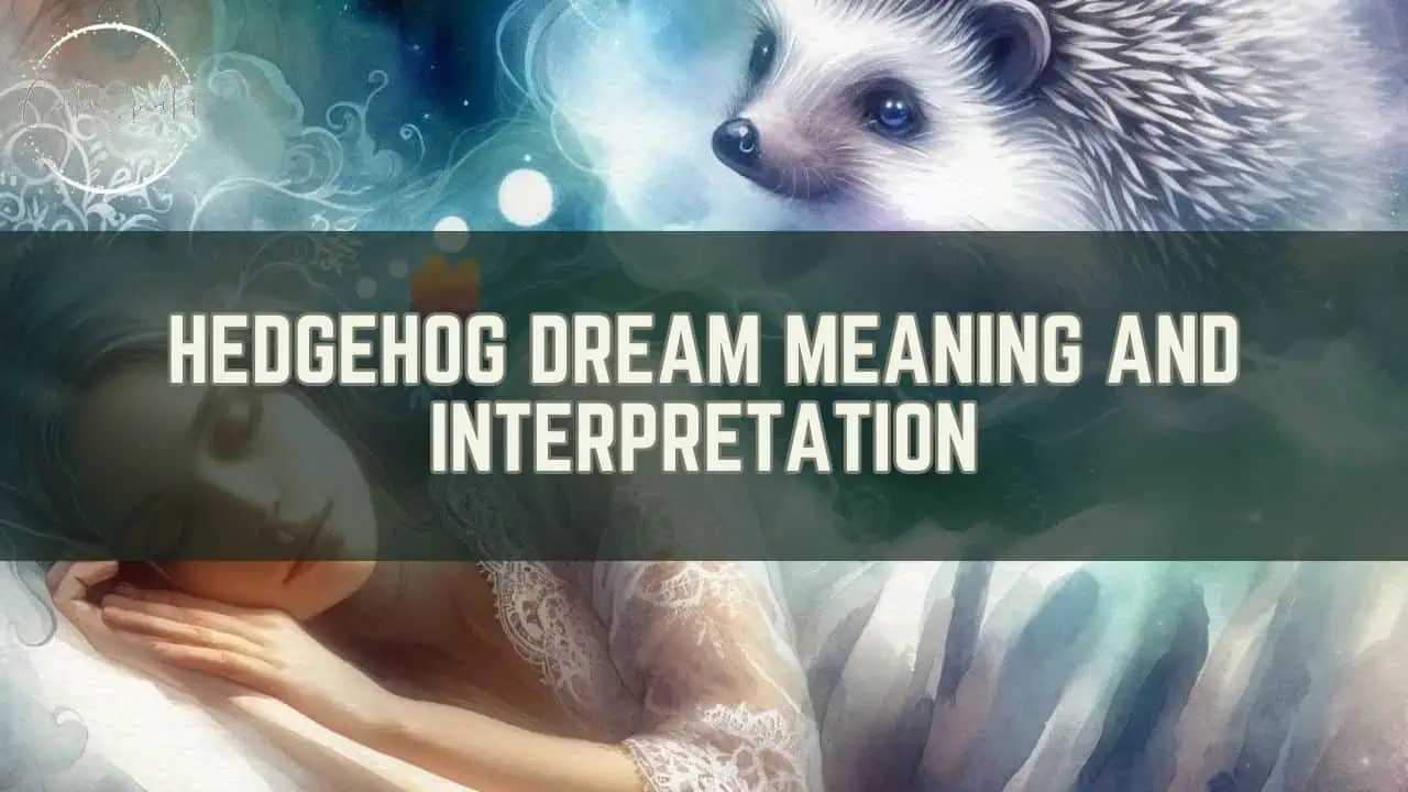 Hedgehog Dream Meaning and Interpretation