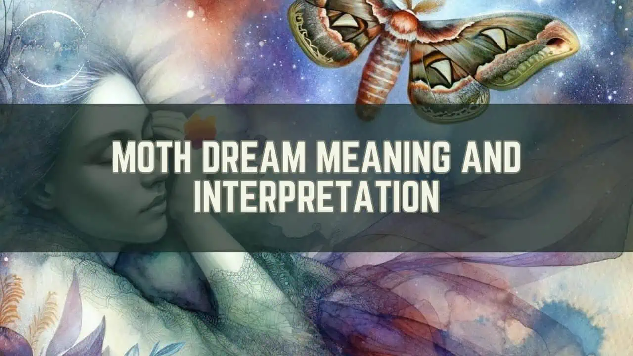 Moth Dream Meaning featured image