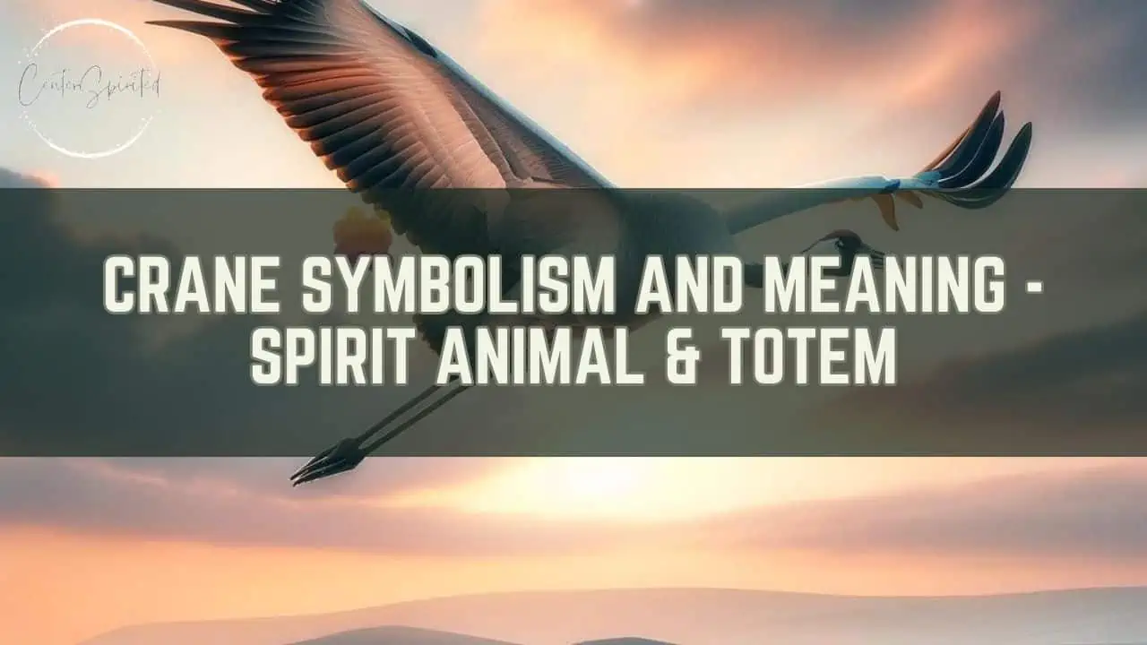 crane symbolism featured image