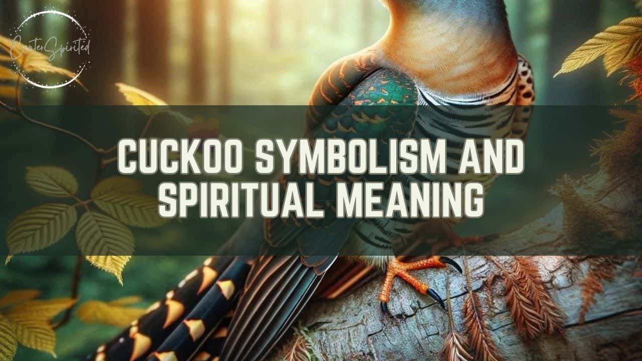 Cuckoo Symbolism and Spiritual Meaning