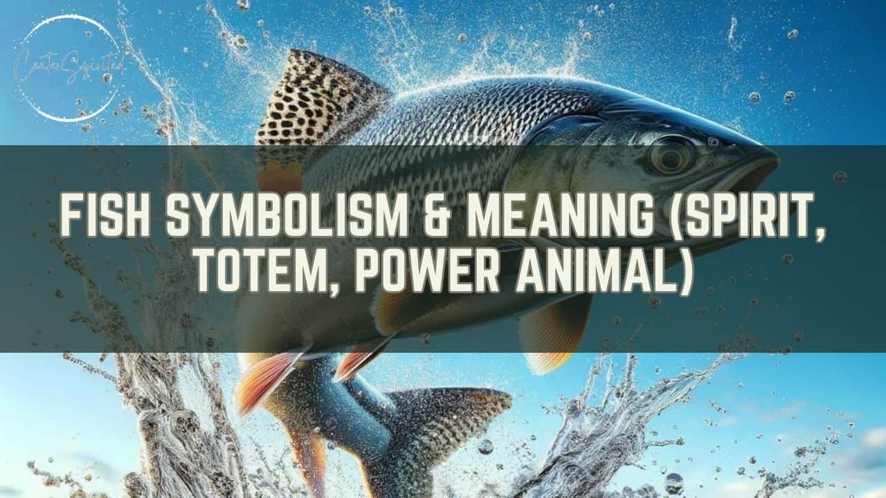 fish symbolism featured image