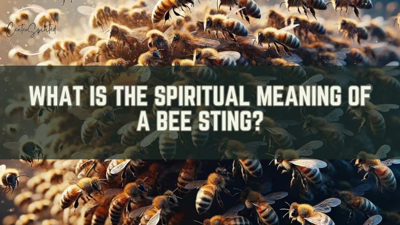 What is the Spiritual Meaning of a Bee Sting?