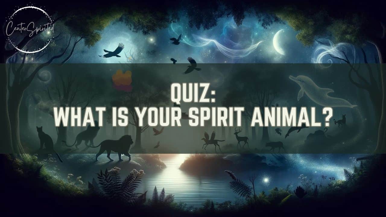 Spirit Animal Quiz