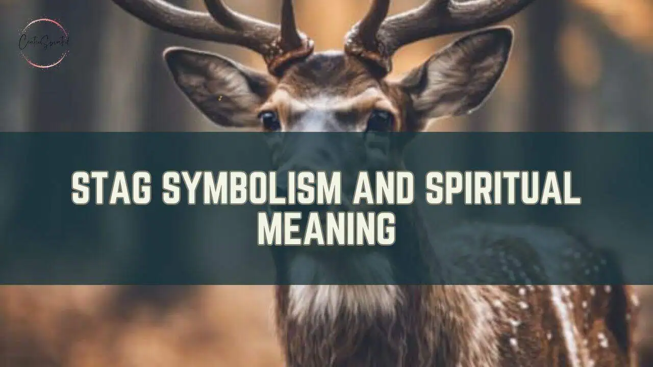 Stag Symbolism And Spiritual Meaning